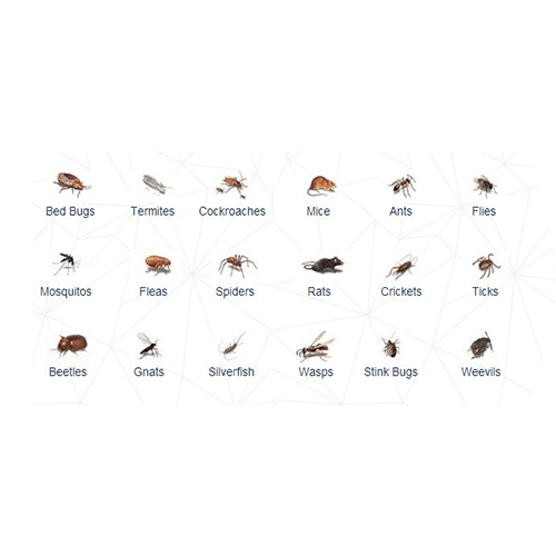 Pest control resources and brochures